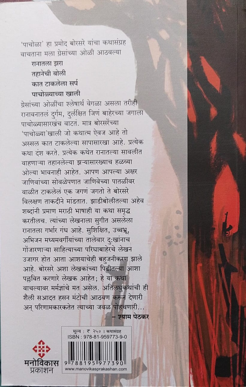 PACHOLA BY PRAMOD NAMDEVRAO BORSARE