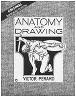 Anatomy & Drawing